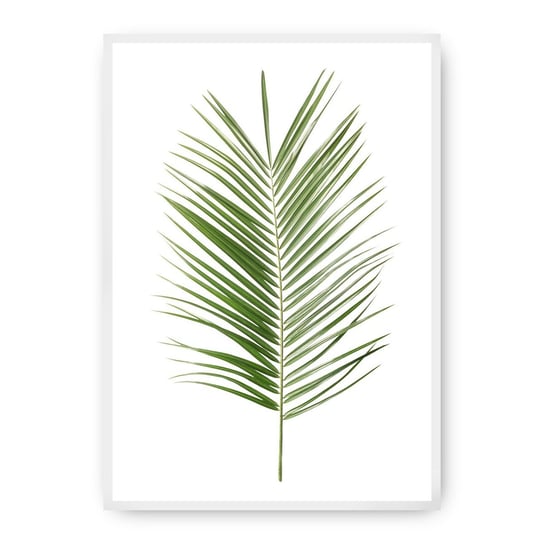 Plakat DEKORIA Palm Leaf Green, 30x40 cm, biała ramka Dekoria