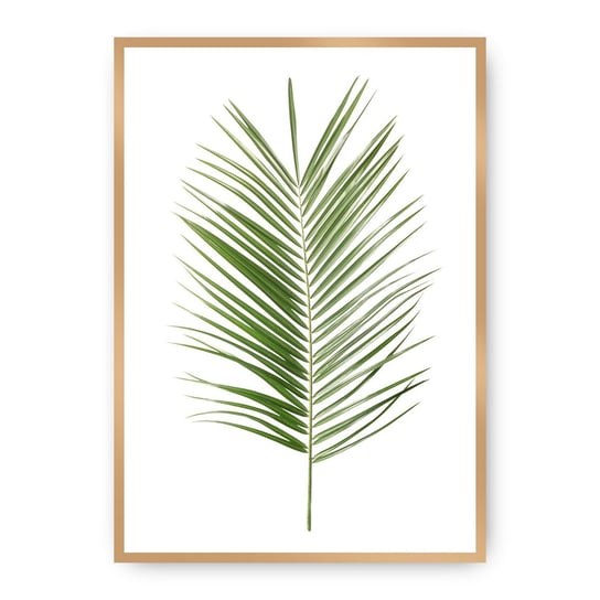 Plakat DEKORIA Palm Leaf Green, 30x40 cm, złota ramka Dekoria