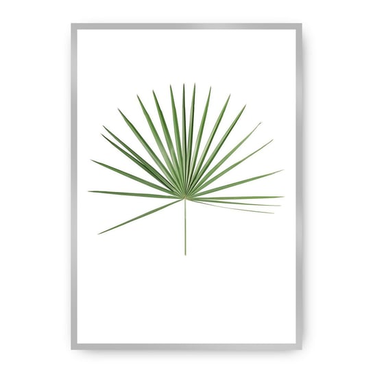 Plakat DEKORIA Tropical Leaf Green, 30x40 cm, srebrna ramka Dekoria