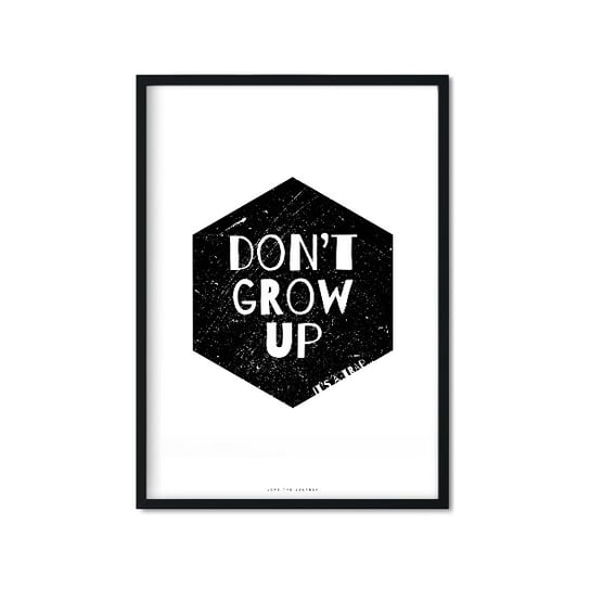 Plakat Don't Grow Up, biało-czarny, 40x50 cm Love The Journey