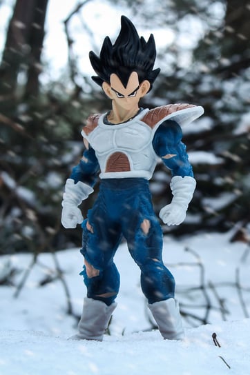 Plakat, Dragon Ball Z - Vegeta, 40x60 cm Inna marka