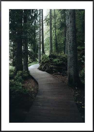 Plakat Drewniana Ścieżka w Lesie - 50x70 cm Posteracademy