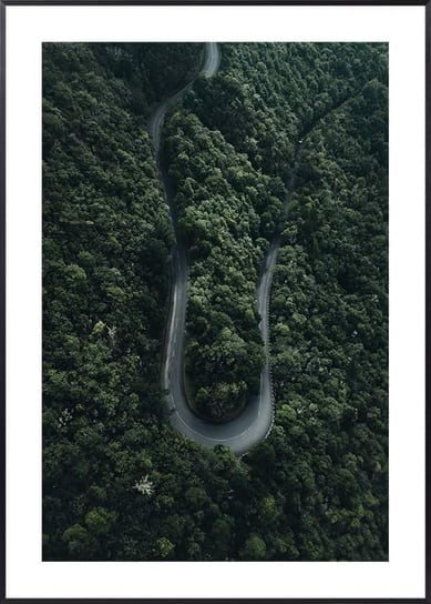 Plakat Droga w Lesie Madery - 21x30 cm (A4) Posteracademy