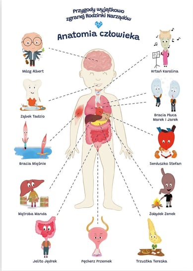 Plakat Edukacyjny Anatomia Człowieka Dla Dziecka Format A2 Biomedica Jacek Mieszkowicz