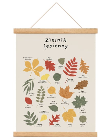 Plakat edukacyjny dla dzieci Zielnik jesienny A4 21x30 A4 cm / Joachimki Joachimki