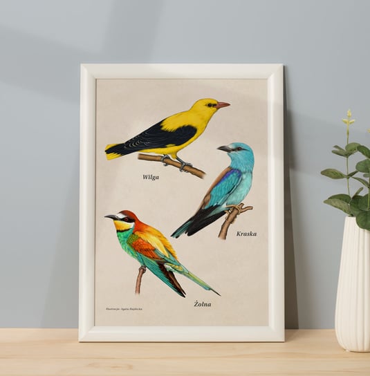 Plakat edukacyjny z ptakami Wilga, Kraska, Żołna, 30 x 40 cm, bez ramy, zwierzęta, tukanmedia TukanMedia