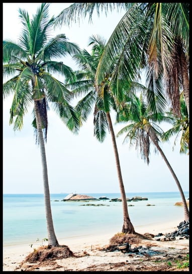 Plakat egzotyczna plaża w Tajlandii, format A4 Inna marka