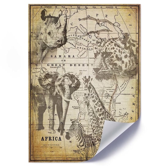 Plakat FEEBY Afrykańskie zwierzęta, 40x60 cm Feeby