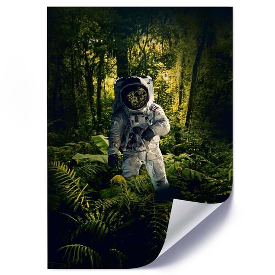 Plakat FEEBY Astronauta wśród roślin abstrakcja, 50x70 cm Feeby