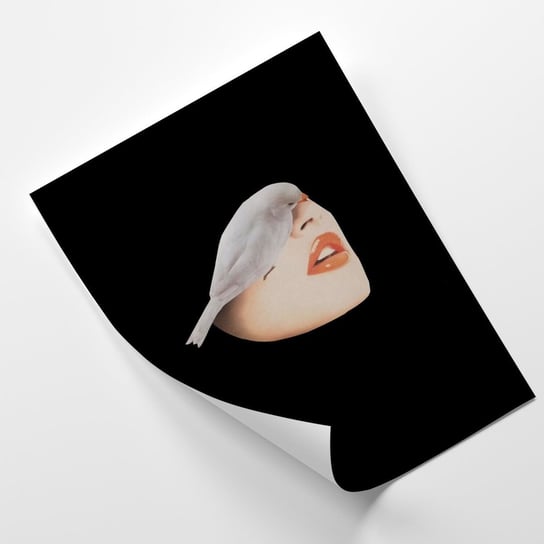 Plakat FEEBY Biały ptaszek i twarz- Paola Poludenna 60x90 Feeby