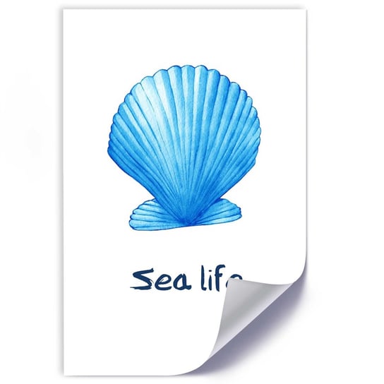 Plakat FEEBY Błękitna muszla z napisem Morskie życie 30x45 Feeby
