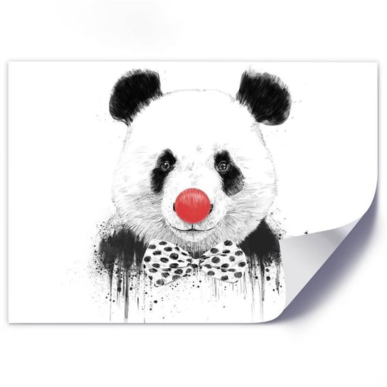 Plakat FEEBY Clown miś panda, 100x70 cm Feeby