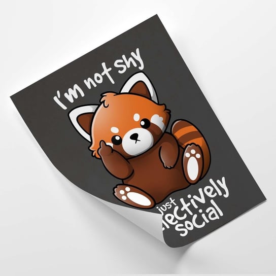 Plakat FEEBY Czerwona panda - Noemi Fadda 60x80 Feeby