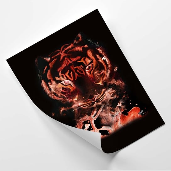 Plakat FEEBY Czerwony tygrys - Marta Horodniczy 60x80 Feeby