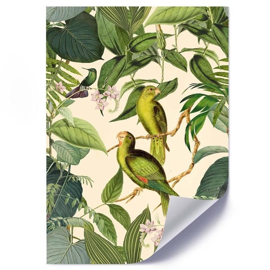 Plakat FEEBY Egzotyczne ptaki, 40x60 cm Feeby
