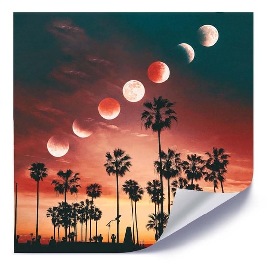 Plakat FEEBY Fazy księżyca nad palmami, 40x40 cm Feeby