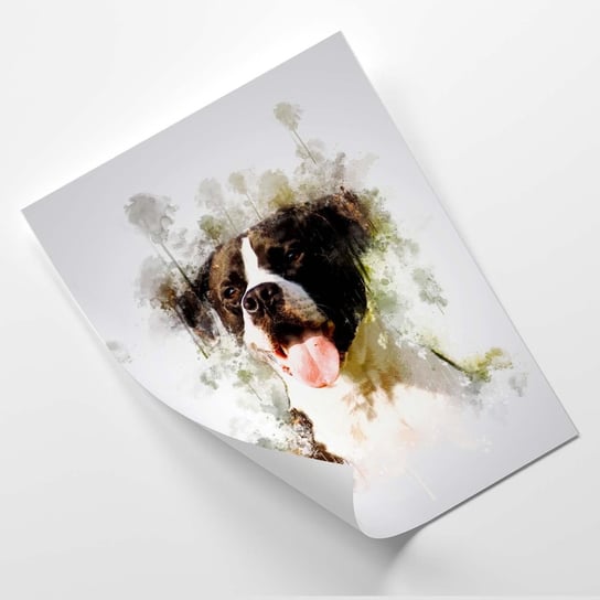 Plakat FEEBY Głowa psa - Cornel Vlad 20x30 Feeby
