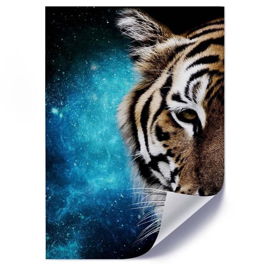 Plakat FEEBY Głowa tygrysa na tle gwiazd, 50x70 cm Feeby