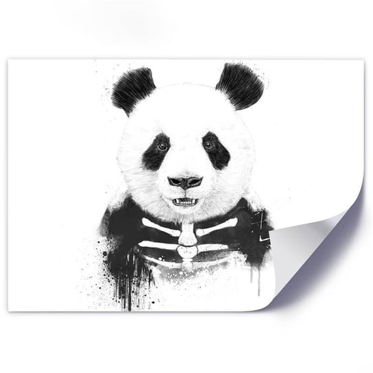 Plakat FEEBY Halloween miś panda szkielet, 60x40 cm Feeby