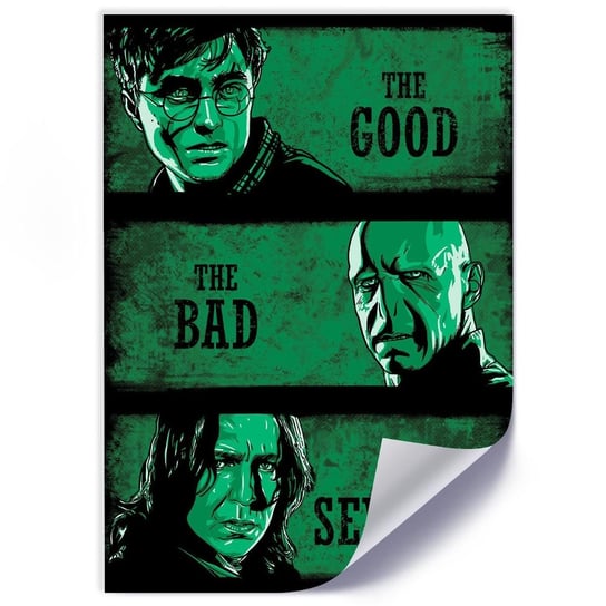 Plakat FEEBY Harry Potter, 50x70 cm Feeby