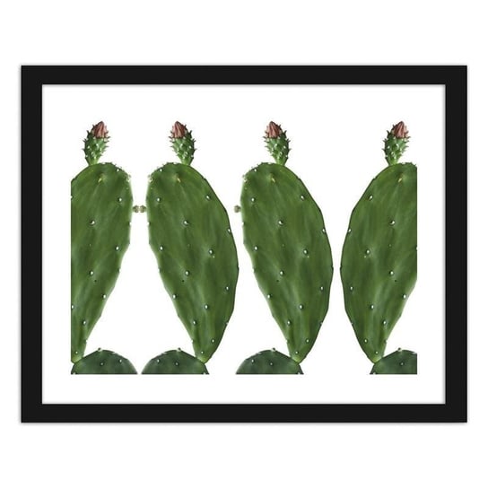 Plakat FEEBY Kaktus 2, 40x30 cm Feeby