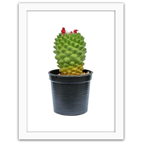Plakat FEEBY Kaktus na białym tle, 21x29,7 cm Feeby