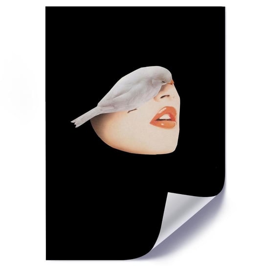 Plakat FEEBY Kolaż kobieta z ptakiem, 50x70 cm Feeby