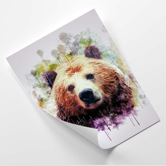 Plakat FEEBY Kolorowa głowa niedźwiedzia - Cornel Vlad 20x30 Feeby