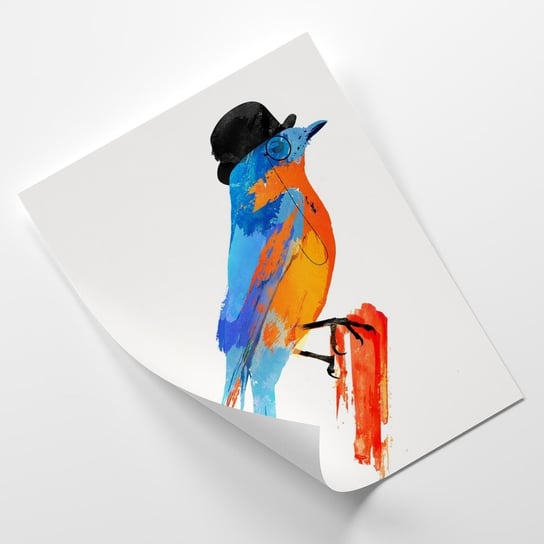 Plakat FEEBY Kolorowy ptak w kapeluszu - Robert Farkas 30x45 Feeby
