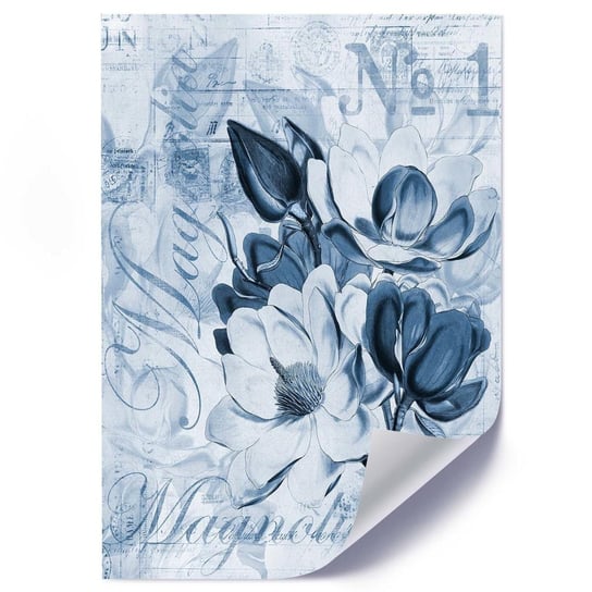 Plakat FEEBY Kwiat magnolii - 40x60 Feeby