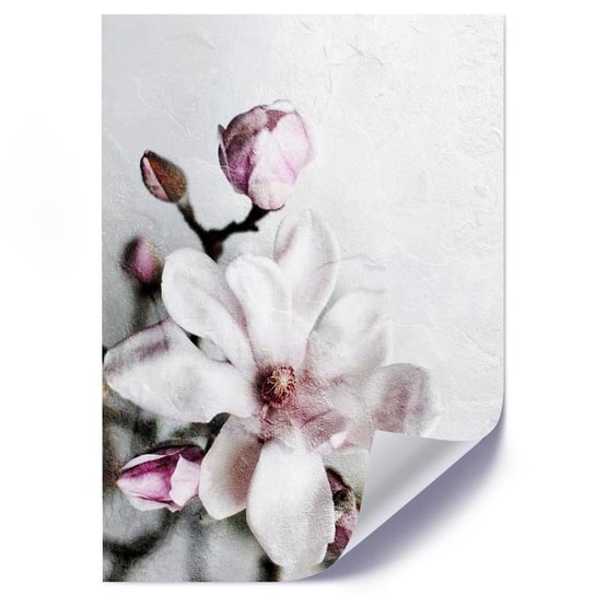 Plakat FEEBY Kwiat magnolii, 40x60 cm Feeby