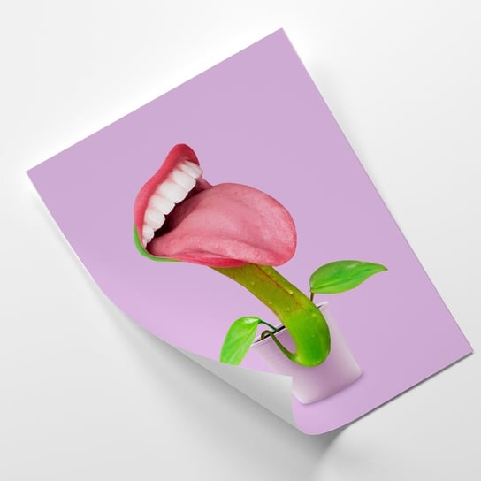 Plakat FEEBY Kwiatek z wystawionym językiem - Jonas Loose 20x30 Feeby