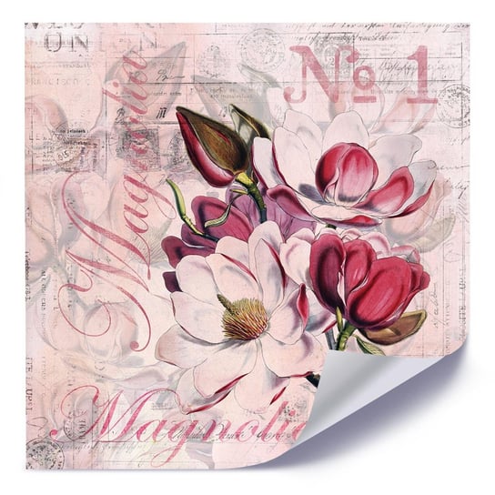 Plakat FEEBY Kwiaty magnolii 2, 80x80 cm Feeby