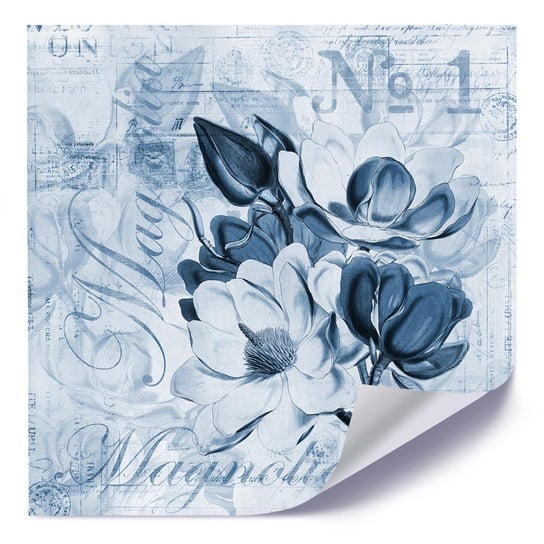 Plakat FEEBY Kwiaty magnolii, 80x80 cm Feeby