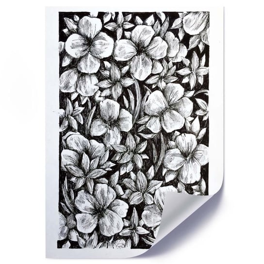 Plakat FEEBY Kwiaty szkic - 50x70 Feeby