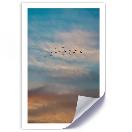 Plakat FEEBY Lecące ptaki na tle chmur 60x90 Feeby