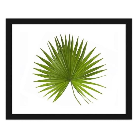 Plakat FEEBY Liść palmy, 50x40 cm Feeby