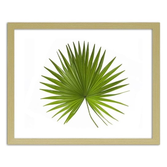 Plakat FEEBY Liść palmy, 50x40 cm Feeby