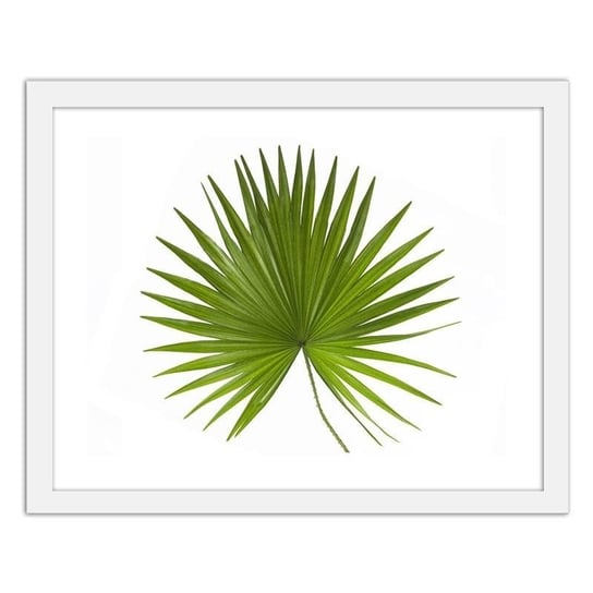 Plakat FEEBY Liść palmy, 60x40 cm Feeby