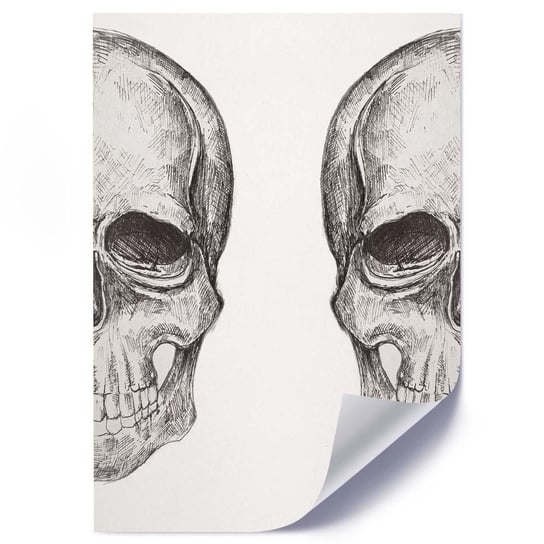 Plakat FEEBY Ludzka czaszka - 50x70 Feeby