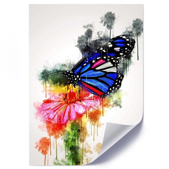 Plakat FEEBY Motyl na kwiecie, 50x70 cm Feeby