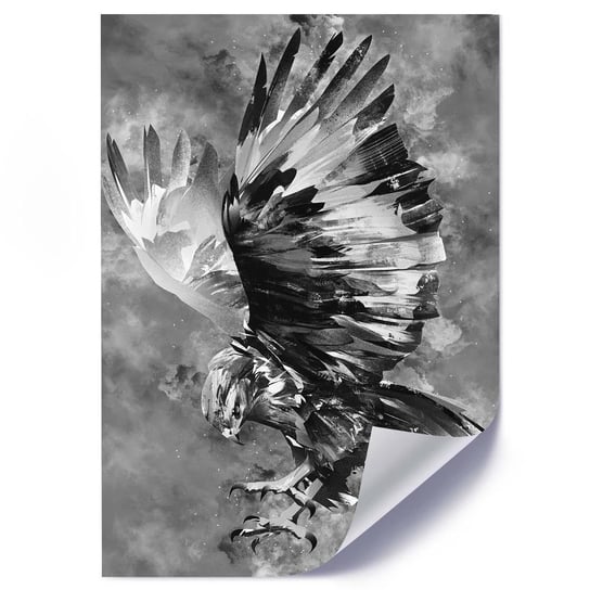 Plakat FEEBY Orzeł czarno biały, 50x70 cm Feeby