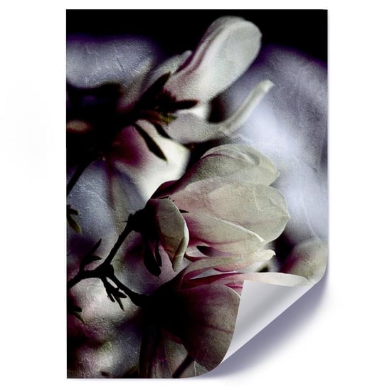 Plakat FEEBY Pączki magnolii, 50x70 cm Feeby