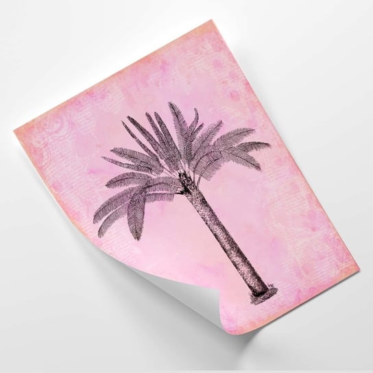 Plakat FEEBY Palma na różowym tle - Andrea Haase 60x80 Feeby
