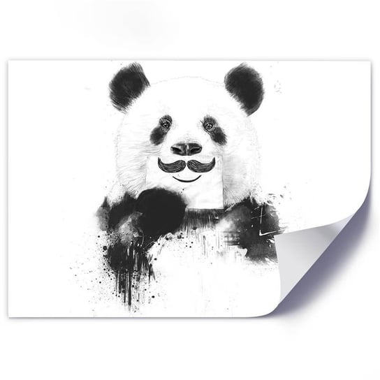 Plakat FEEBY Panda z wąsem, 100x70 cm Feeby