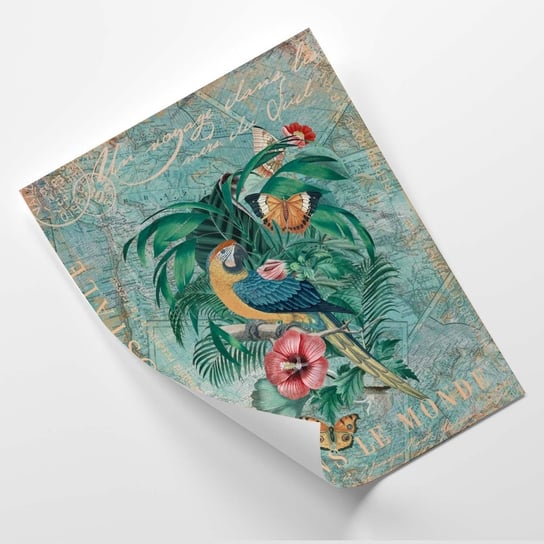 Plakat FEEBY Papuga i motyle - pocztówka z podróży - Andrea Haase 60x80 Feeby