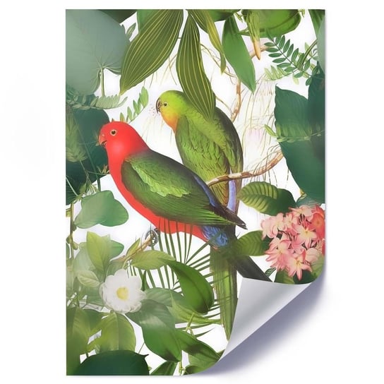 Plakat FEEBY Papugi w liściach, 70x100 cm Feeby