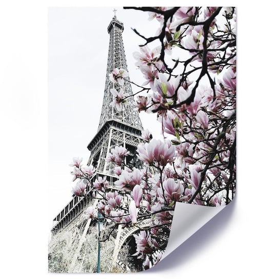 Plakat FEEBY Paryskie magnolie, 50x70 cm Feeby