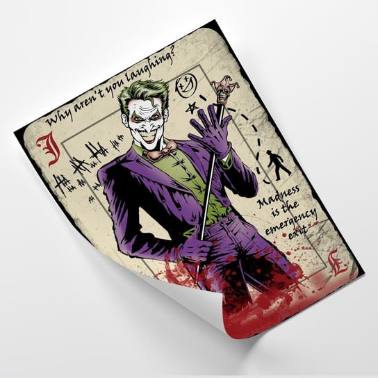 Plakat FEEBY Postać Jokera - DDJVigo 60x90 Feeby