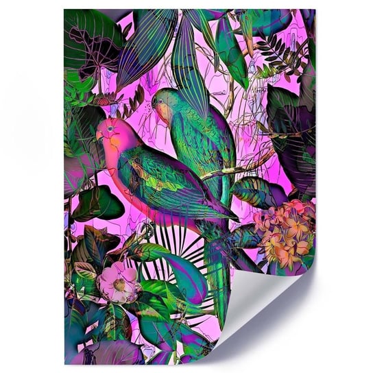 Plakat FEEBY Rajskie papugi, 50x70 cm Feeby